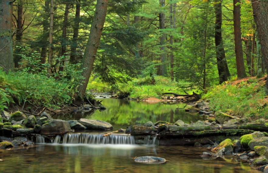 McCalls Dam State Park, Pennsylvania, USA